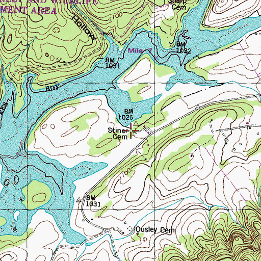 Topographic Map of Stiner Cemetery, TN