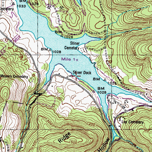 Topographic Map of Stiner Dock, TN