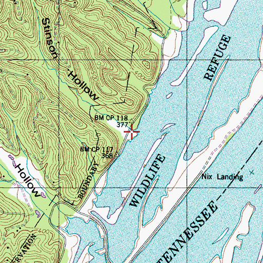 Topographic Map of Stinson Hollow, TN