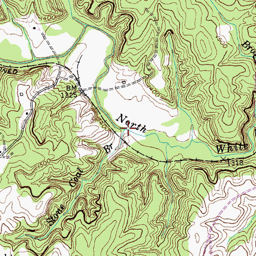 Topographic Map of Stone Coal Branch, TN