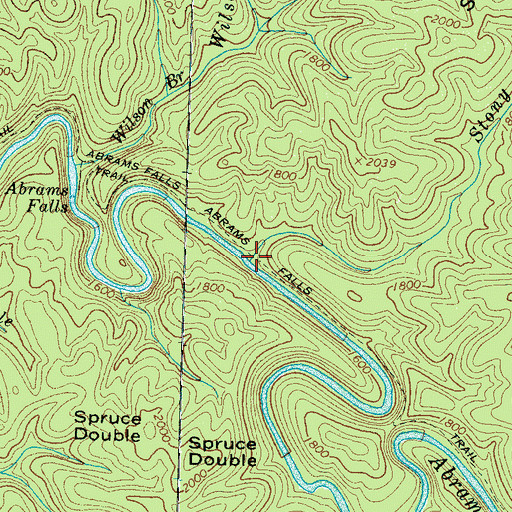 Topographic Map of Stony Branch, TN