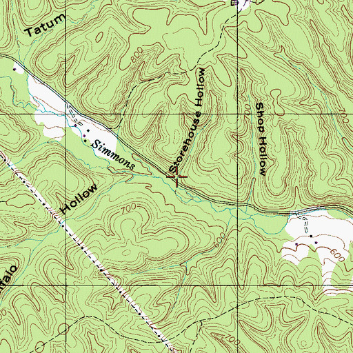 Topographic Map of Storehouse Hollow, TN