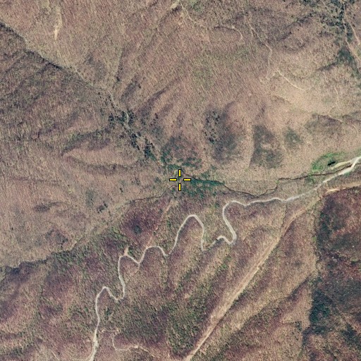 Aerial/Satellite Image of Straight Fork, TN