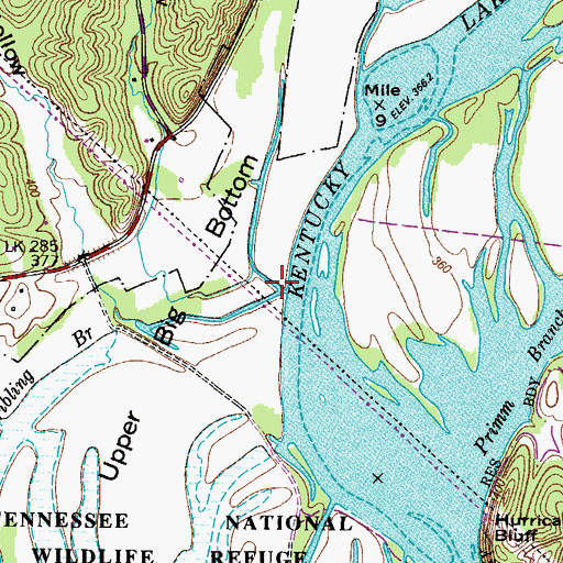 Topographic Map of Stribling Branch, TN