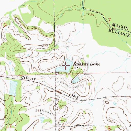 Topographic Map of Spains Lake, AL