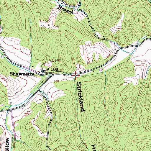 Topographic Map of Strickland Hollow, TN