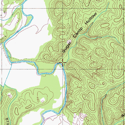 Topographic Map of Sugar Camp Hollow, TN