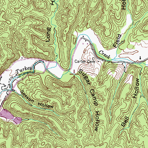 Topographic Map of Sugar Camp Hollow, TN