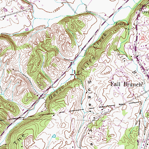 Topographic Map of Sugar Tree Hollow, TN