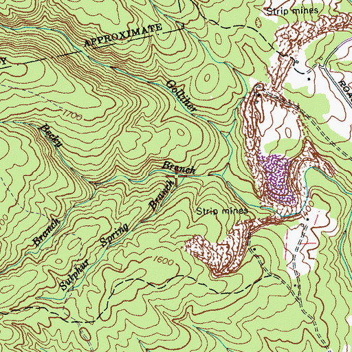 Topographic Map of Sulphur Spring Branch, TN
