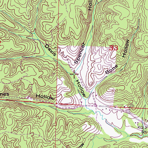 Topographic Map of Spencer Hollow, AL