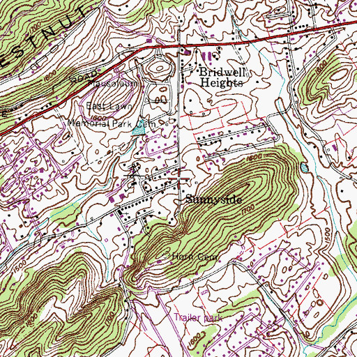 Topographic Map of Sunnyside, TN