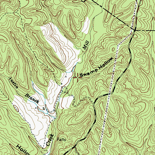 Topographic Map of Swamp Hollow, TN