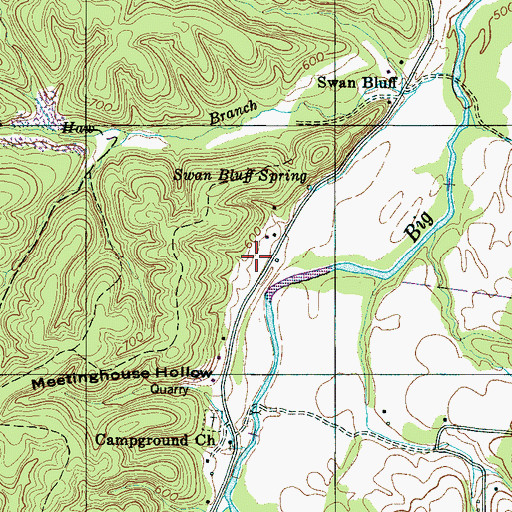 Topographic Map of Swan Bluff Spring, TN