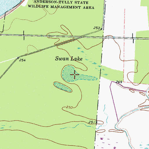 Topographic Map of Swan Lake, TN
