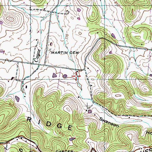Topographic Map of Swanson Hollow, TN