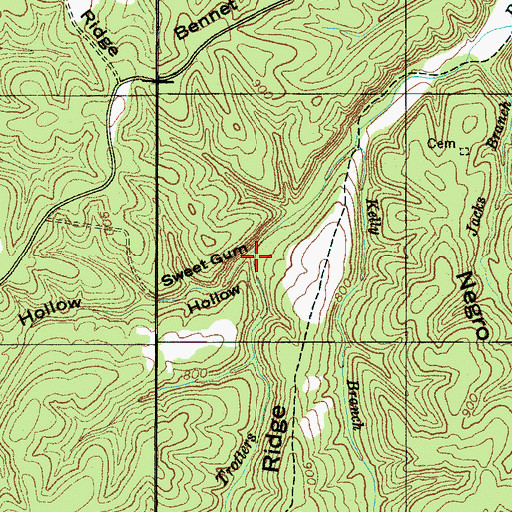 Topographic Map of Sweet Gum Hollow, TN