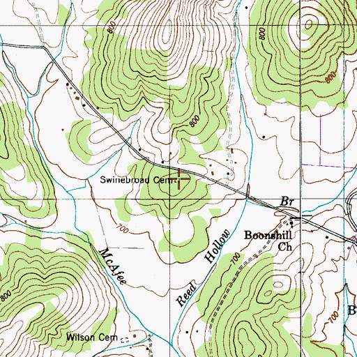 Topographic Map of Swinebroad Cemetery, TN