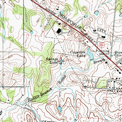 Topographic Map of Swings Lake, TN