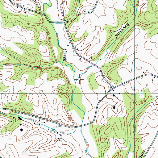 Topographic Map of Swinney Branch, TN