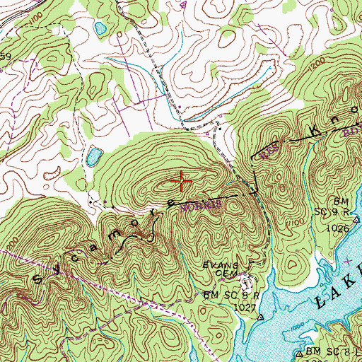 Topographic Map of Sycamore Knobs, TN