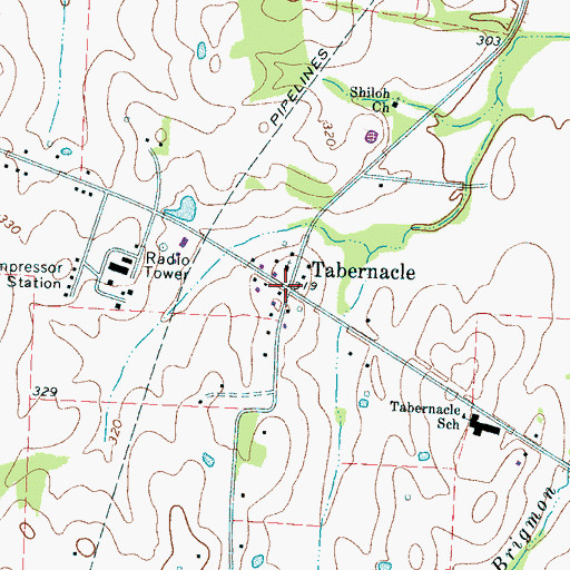 Topographic Map of Tabernacle, TN