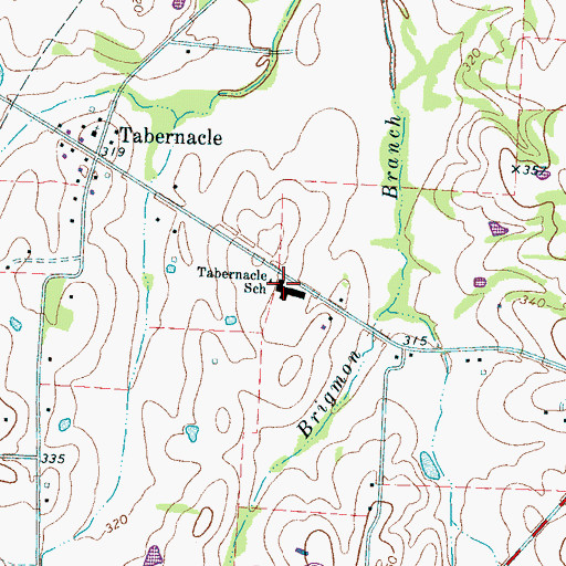Topographic Map of Tabernacle School, TN