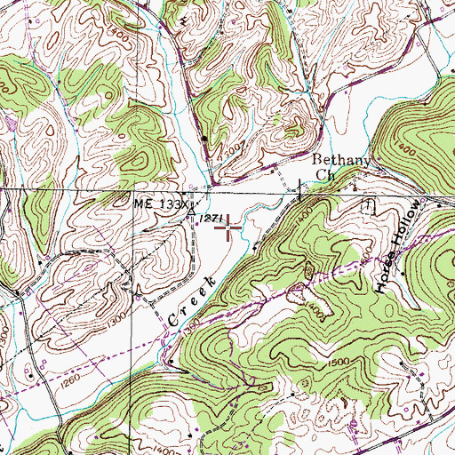 Topographic Map of Tadpole Hollow, TN