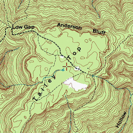 Topographic Map of Talley Top, TN