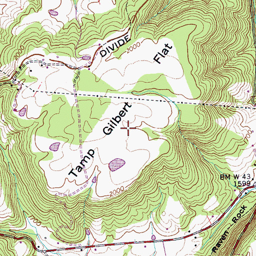Topographic Map of Tamp Gilbert Flat, TN
