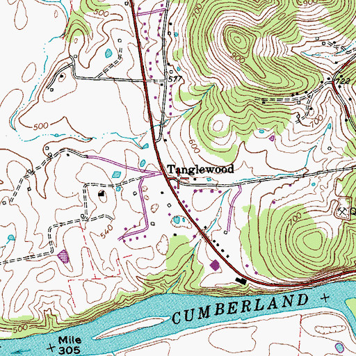 Topographic Map of Tanglewood, TN