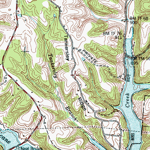Topographic Map of Tankersley Ridge, TN
