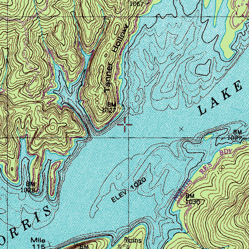 Topographic Map of Tanner Hollow, TN