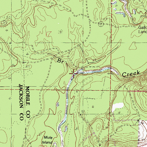 Topographic Map of Spring Branch, AL