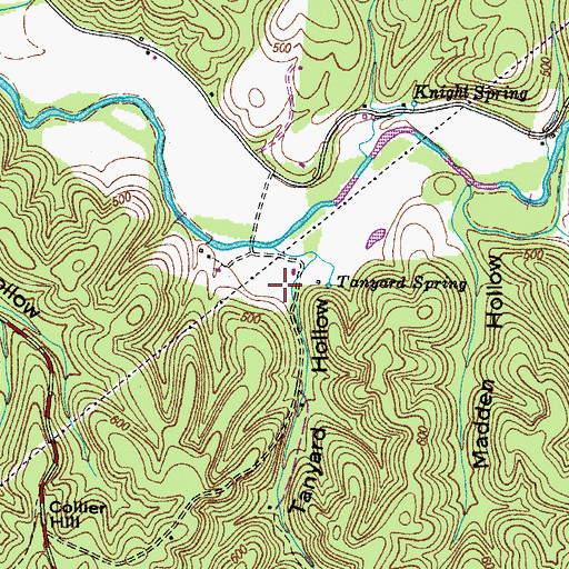 Topographic Map of Tanyard Hollow, TN