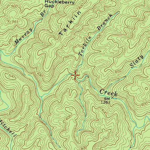 Topographic Map of Tarkiln Branch, TN