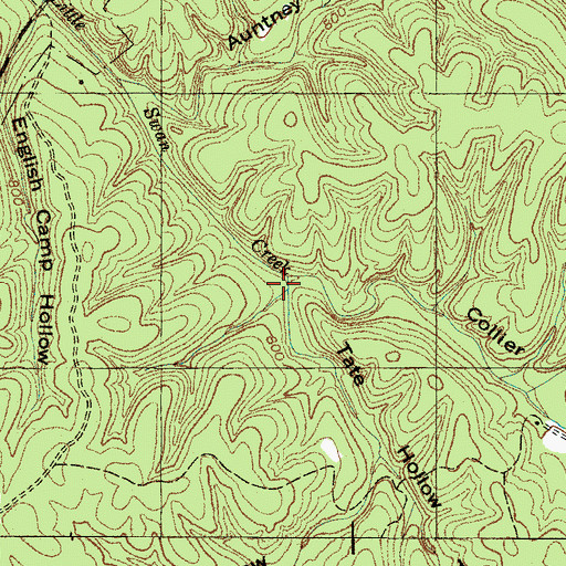 Topographic Map of Tate Hollow, TN