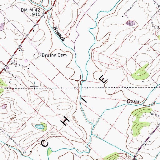 Topographic Map of Taylor Branch, TN