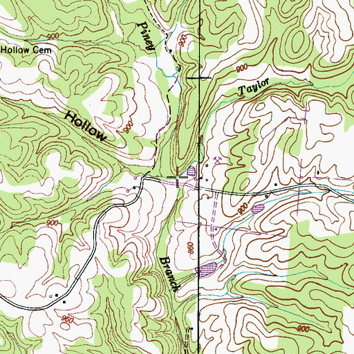 Topographic Map of Taylor Branch, TN