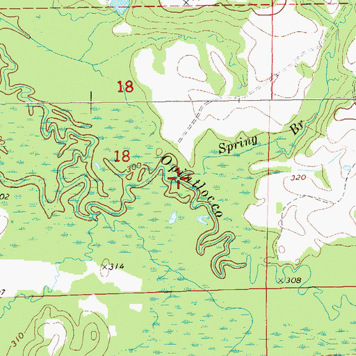 Topographic Map of Spring Branch, AL