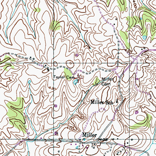 Topographic Map of Taylor Cemetery, TN