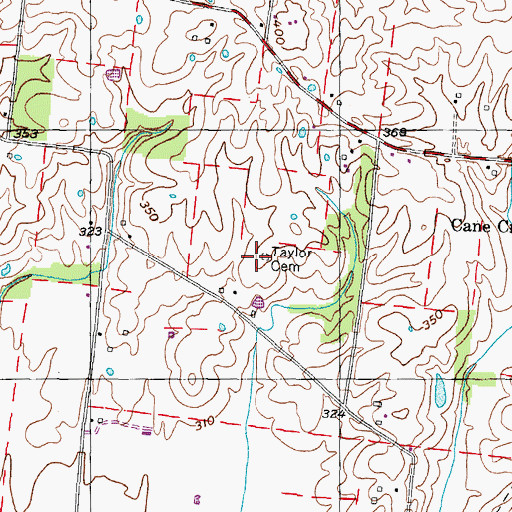 Topographic Map of Taylor Cemetery, TN