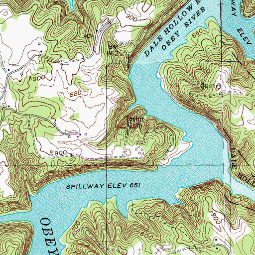 Topographic Map of Taylor Cemetery, TN