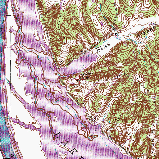 Topographic Map of Taylor Cemetery, TN