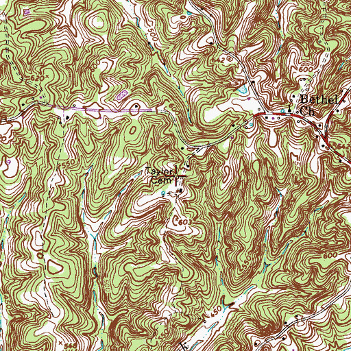 Topographic Map of Taylor Cemetery, TN