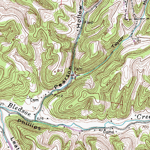 Topographic Map of Taylor Hollow, TN
