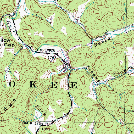 Topographic Map of Teague Branch, TN