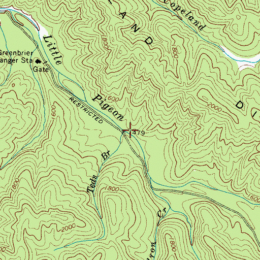 Topographic Map of Teds Branch, TN