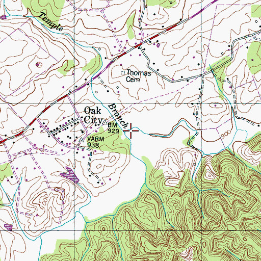 Topographic Map of Temple Branch, TN
