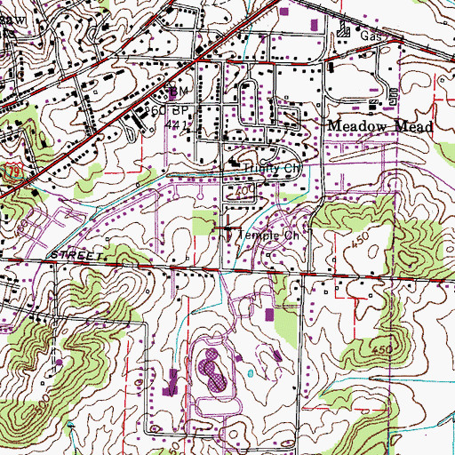 Topographic Map of Temple Church, TN
